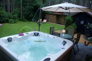 jacuzzi and garden